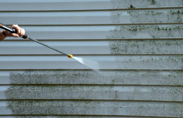 Best Deck Pressure Washing  in Bald Kno, AR