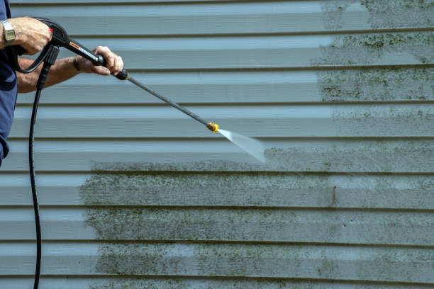 Best Affordable Power Washing  in Bald Kno, AR