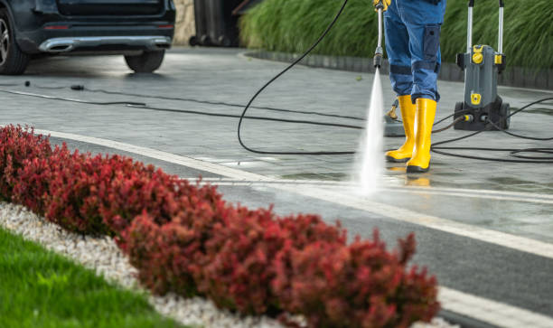 Best Power Washing Near Me  in Bald Kno, AR