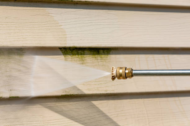 Best Concrete Pressure Washing  in Bald Kno, AR